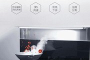 集成灶烟管处理方法及技巧（实用的集成灶烟管清洁和维护指南）
