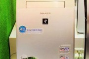 夏普电热水器出现E4故障的原因及解决方法（探索夏普电热水器E4故障的根源）