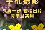 荣耀手机质感模式拍照技巧是什么？