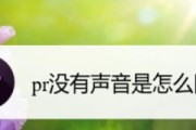 电脑上pr没声音怎么回事？如何解决？