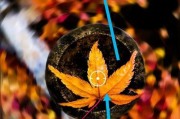 手机连续拍照半小时会有什么影响？