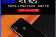 iPhoneX通话手机黑屏问题解决方法（快速排除iPhoneX通话时出现的黑屏情况）