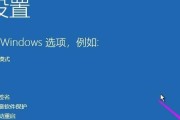 电脑启动进不了系统怎么修复（解决电脑启动进不了系统的方法与技巧）