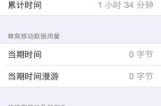 苹果迷你平板电脑蜂窝数据如何开启？