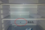 冰箱小孔的维修方法（如何修复冰箱上的小孔及防止损坏）