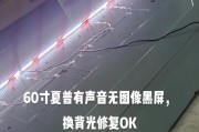 三星电视机黑屏故障维修指南（解决三星电视无图像问题的有效方法）