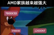 显卡小贴纸代表的含义是什么？