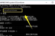 电脑网络连接正常，打不开浏览器怎么办？（解决电脑网络连接正常但无法打开浏览器的问题）