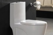 如何应对座便器堵塞（解决座便器堵塞问题的实用方法）