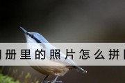 电脑拼图怎么拼图照片？有哪些简单易用的软件推荐？
