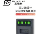 尼康双充充电器使用方法是什么？