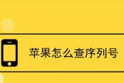 揭秘苹果iPhone序列号的玄机（解读iPhone序列号中隐藏的奥秘，探索背后的含义与意义）