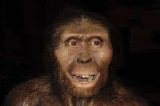 第一个人类是怎么诞生的（人类史上第一个人类）
