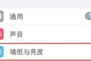 如何在苹果手机上锁定应用程序（简单教程帮助您在苹果手机上保护隐私）