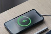 如何准确查询iPhone电池健康（详细介绍了查询iPhone电池健康的方法和步骤）