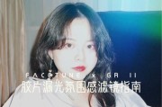 模拟理光滤镜在手机上如何应用？