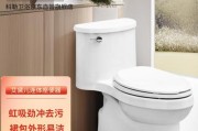 科勒马桶不抽水的原因及解决方法（为什么科勒马桶不抽水）