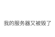 哪个服务器被炸毁了？事件的起因和影响是什么？