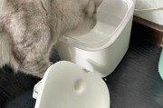 小米有品饮水机漏水怎么办（解决小米有品饮水机漏水问题的有效方法）