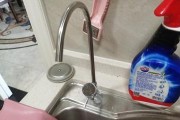 如何处理净水器出水管生锈问题（有效清除净水器出水管生锈的方法与技巧）
