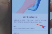 如何设置苹果手机NFC功能（详解苹果手机NFC功能的设置步骤）