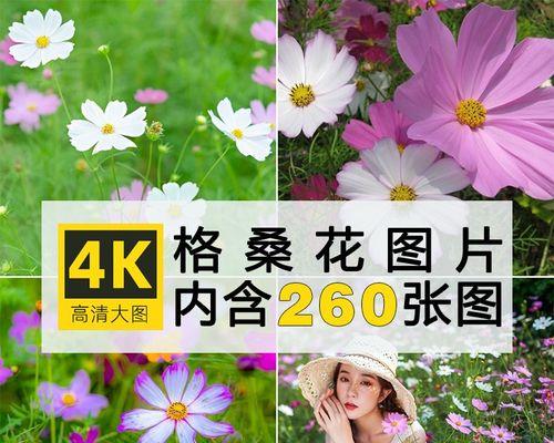 一键拼接照片成长图的简易教程（轻松实现照片拼接，打造炫酷长图）