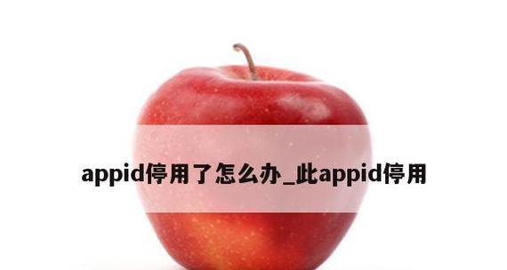 解决苹果ID停用无法退回的问题（探讨苹果ID停用退回困难及解决方法）