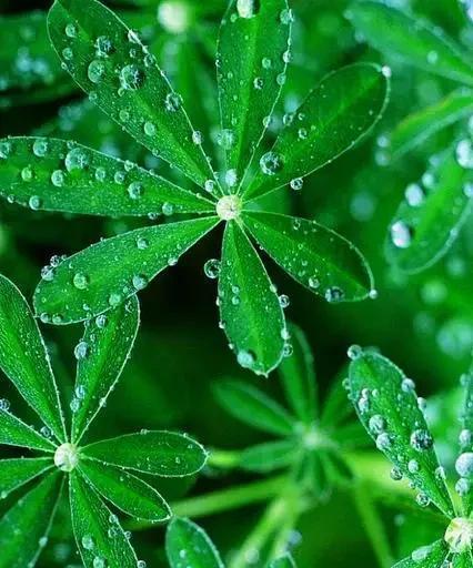 如何设置电脑护眼绿色主题（学会正确的设置方法，保护你的眼睛）