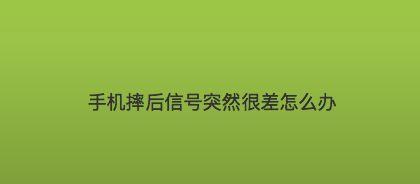 手机信号频繁丢失的原因及解决方法（手机信号不稳定带来的困扰与解决方案）