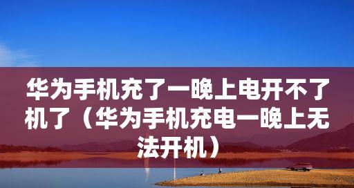 手机充不进去电的解决方法（有效解决手机充电问题的实用方法）