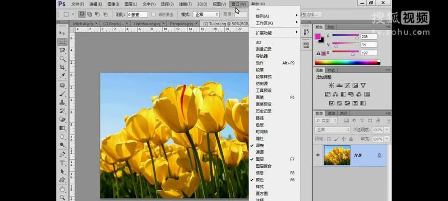 掌握PS文件的基本操作，轻松应对设计需求（简单易学，提高工作效率）