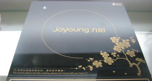 电磁炉901常见故障及解决方法（解决电磁炉901故障的有效技巧）