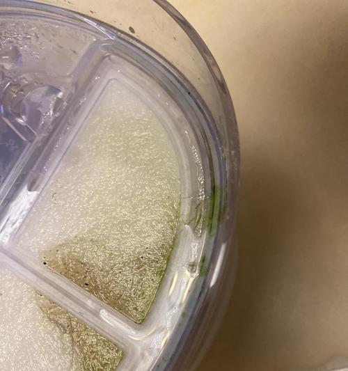 消除饮水机桶长青苔的方法（有效预防与清除饮水机桶内长青苔的关键措施）