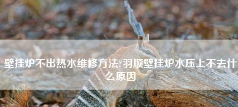 解析壁挂炉显示E3故障及维修办法（探究羽顺壁挂炉显示E3故障的原因和解决方案）