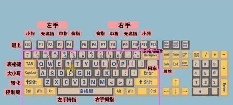 电脑键盘功能基础知识（掌握电脑键盘操作）