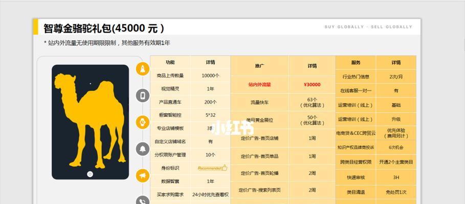 网站推广方法大揭秘（掌握关键）