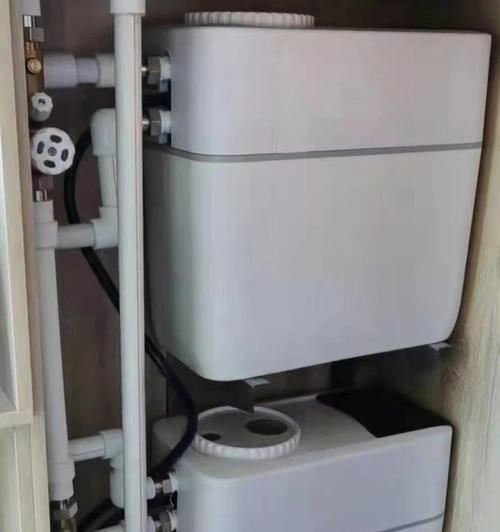 探讨净水器无水现象的原因（揭秘净水器无水原因及解决办法）