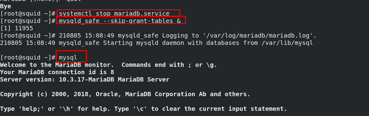 MySQL数据库基础知识解析（掌握MySQL数据库的关键要点和操作技巧）