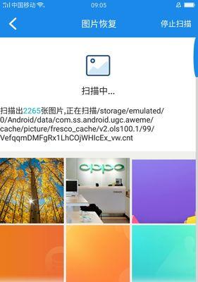 手机数据丢失后如何恢复（从备份到专业软件）