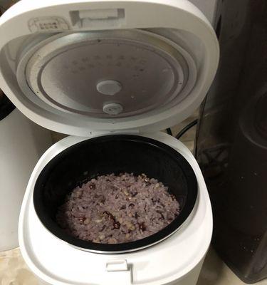 电饭煲煮饭发臭的处理方法（解决电饭煲煮饭发臭问题的实用技巧）