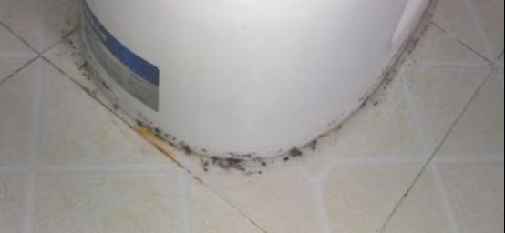 如何处理恒洁马桶发霉问题（马桶底部玻璃胶发黑长霉的解决方法）