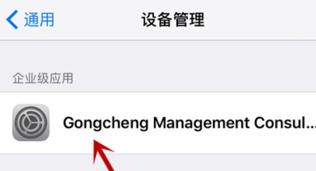 iPad新手使用指南在哪里？如何快速上手苹果平板电脑？