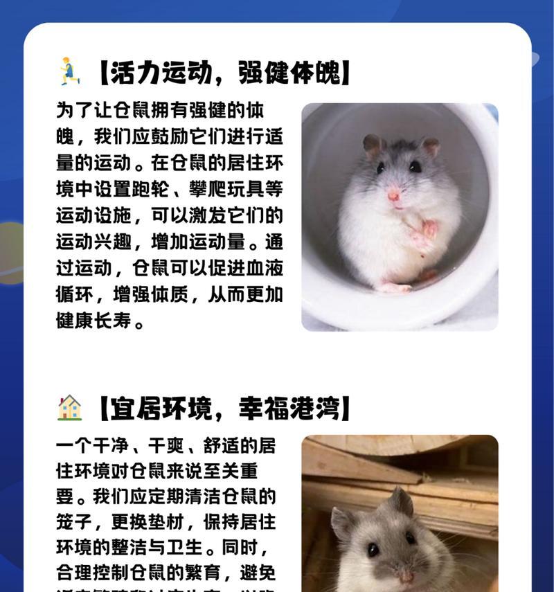 仓鼠怀孕的特征行为有哪些？如何判断仓鼠是否怀孕？