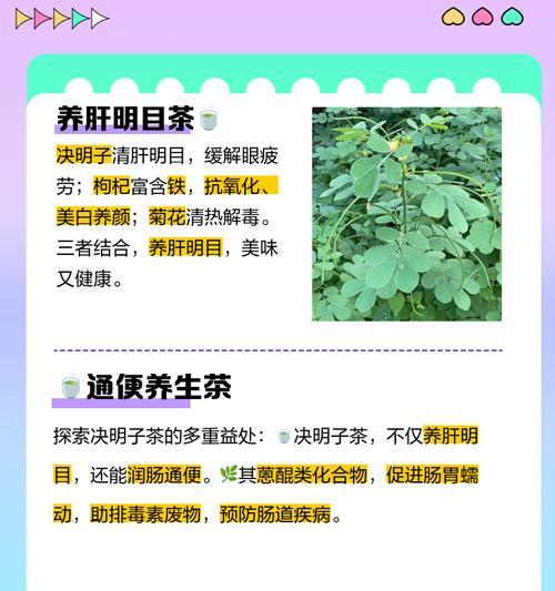 黄金丝菊花配枸杞的功效是什么？如何正确搭配使用？