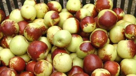 秋季吃什么水果好？哪些水果最适宜秋季食用？