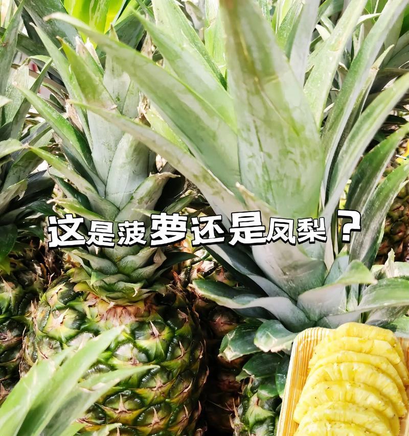 凤梨和菠萝是同一种水果吗？常见误区有哪些？