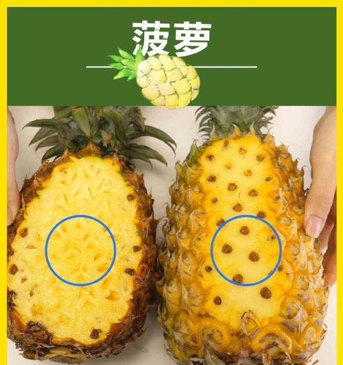 凤梨和菠萝是同一种水果吗？常见误区有哪些？