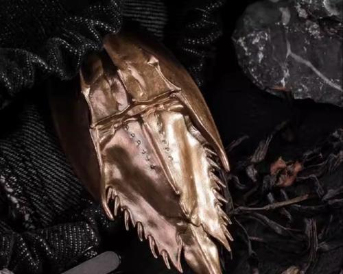中华鲎外壳制作的勺子效果如何？探索古代工艺之美