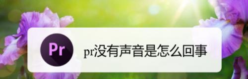 电脑上pr没声音怎么回事？如何解决？