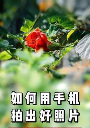 拍照技巧手机摄影身影怎么拍？如何拍出好的手机摄影照片？